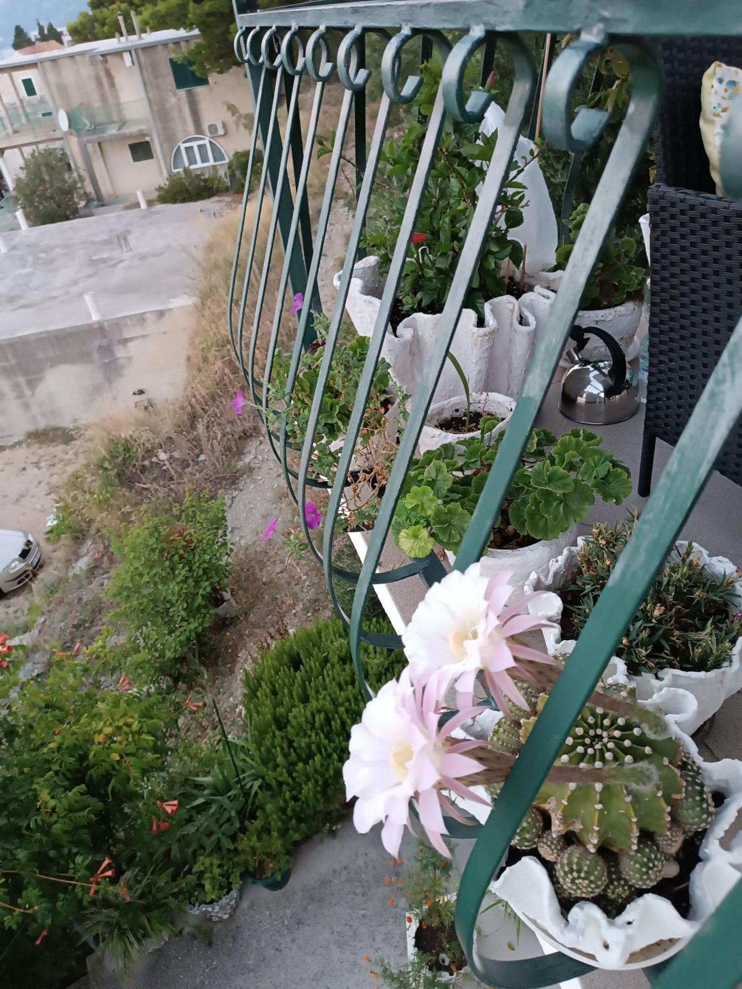 Apartment Ante Brela Luaran gambar